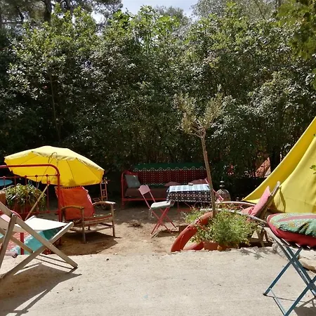 Chambres D'hotes Aux Lecques Les Lecques